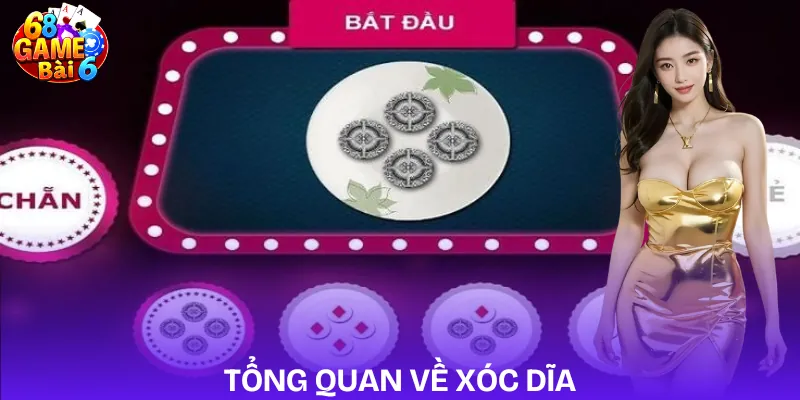huong-dan-choi-xoc-dia-cho-nguoi-moi-gioi-thieu